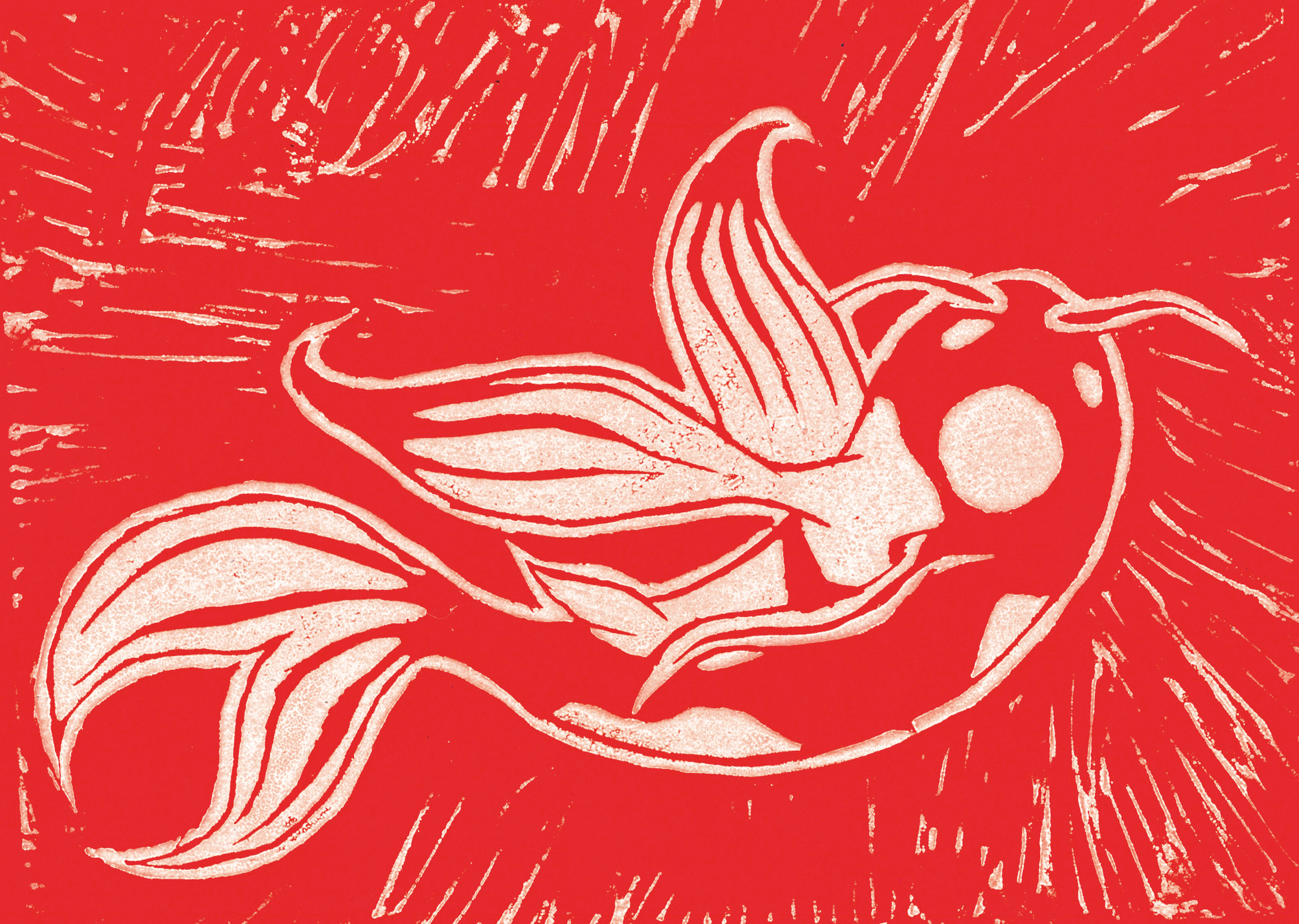 Koi Fish